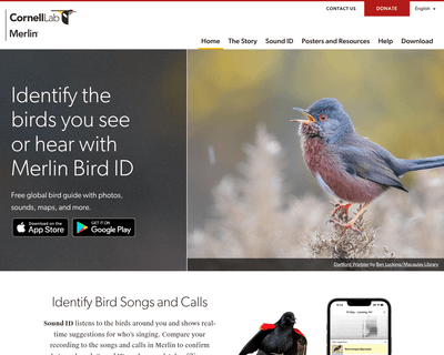Merlin Bird ID